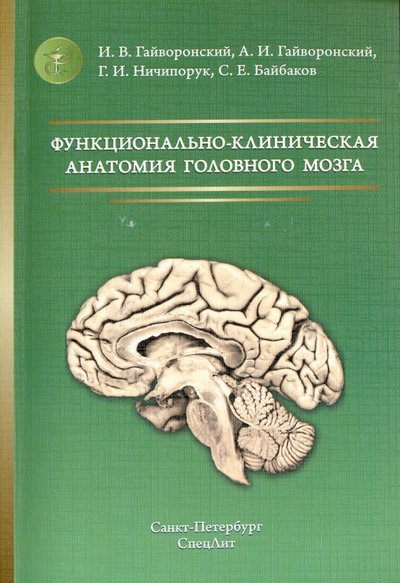 функционально клиническая анатомия головного мозга гайворонский