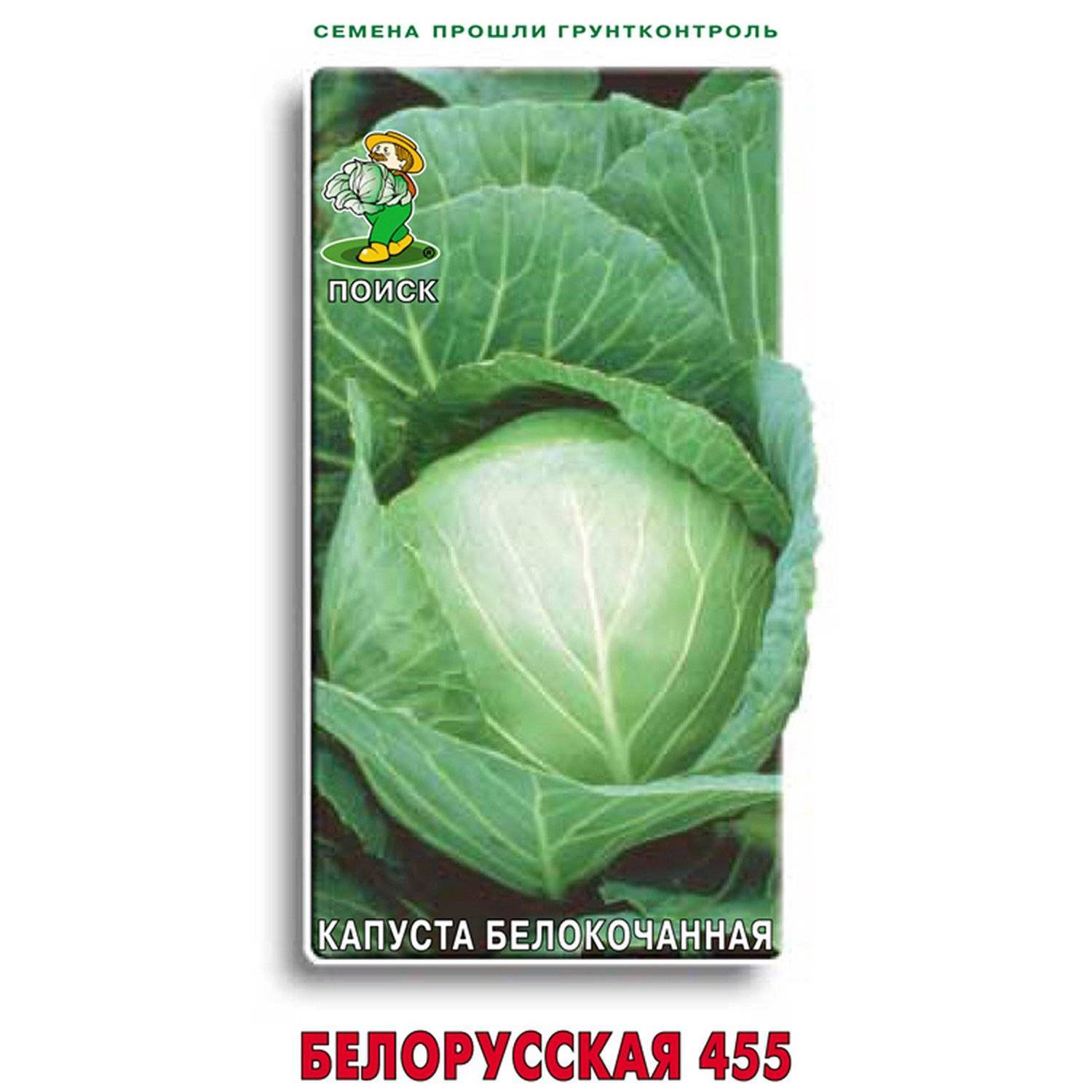Капуста Белорусская 455 Описание Отзывы Фото