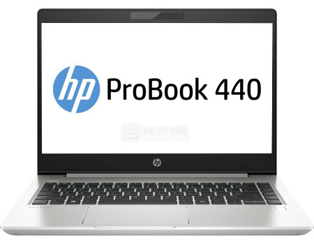 Ноутбук Hp Probook 455 G7 1f3m4ea Купить